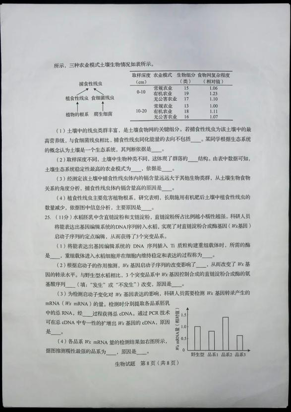 初中语文试讲万能模板_试讲教案模板初中美术_试讲教案模板初中美术