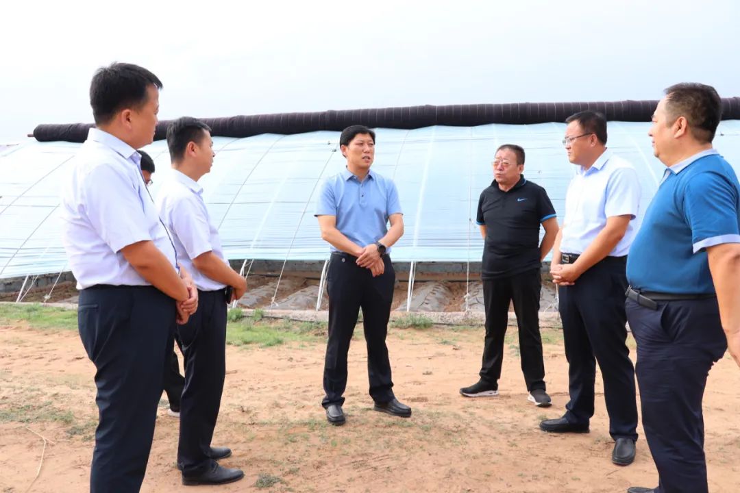 7月9日—10日,旗委副书记,旗长王枫深入沙圪堵镇,大路镇调研易地扶贫