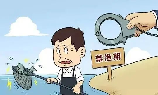 推动长江大保护,最严禁渔令来了—禁渔10年!