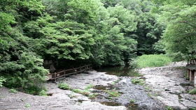 绿水青山看辽宁 | 山城本溪的