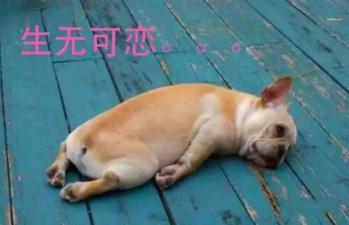 "求你快走吧!"出梅比出道还难,上海网友心态崩了