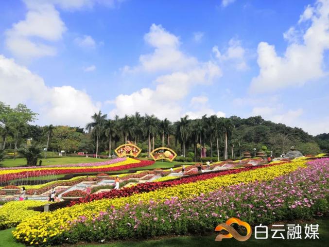 来旅游吧!带你走遍白云网红打卡点