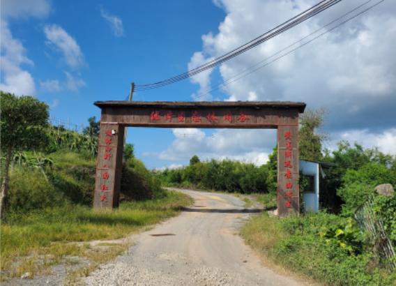 活动地点 开平市蚬冈镇坎田村优泽火龙果场