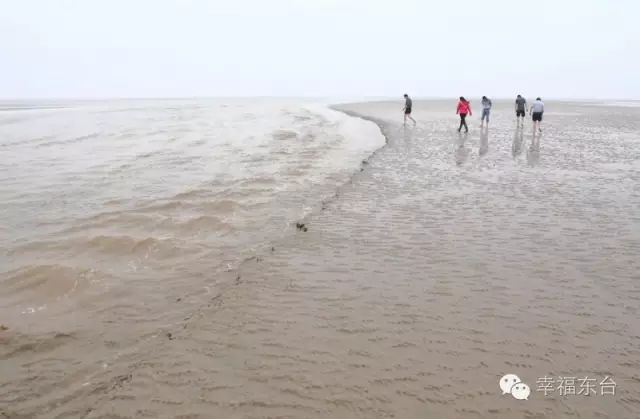 其中,高泥淤泥质海滩湿地保护小区位于东台市条子泥海域东南侧,西