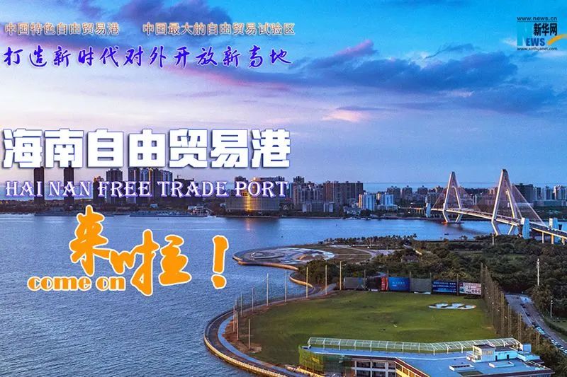 湛江精心绘制与海南相向而行"工笔画"