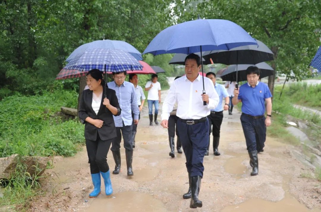 卧龙区委书记高贤信巡河并检查指导防汛工作