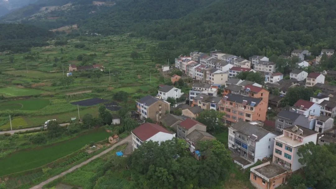 三门任家村坚定奔小康荒地变良田荒山变果园