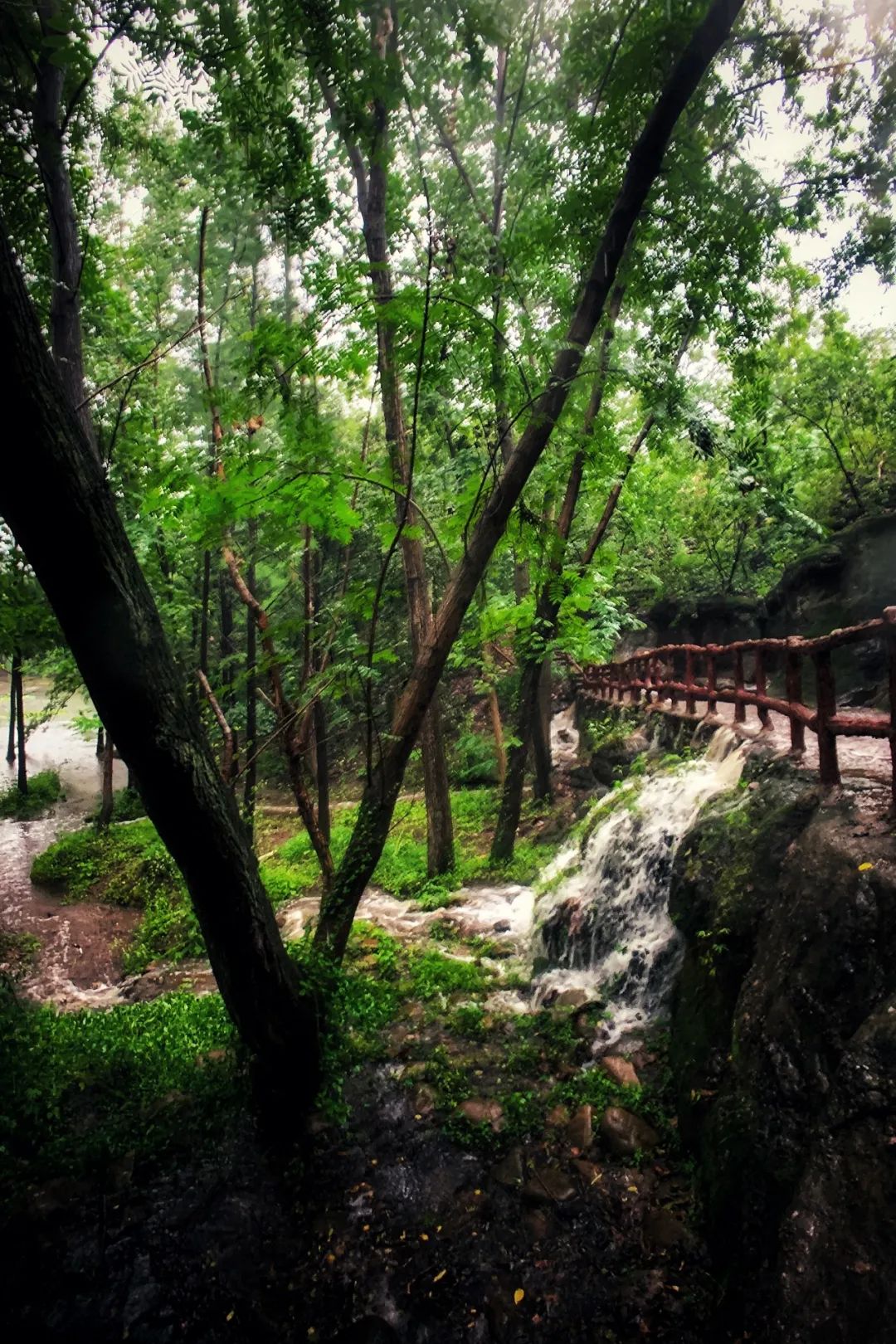 雨洗马陵山添翠下雨游山更有韵味哦