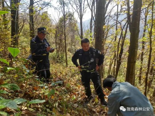 致敬!陇南森林公安