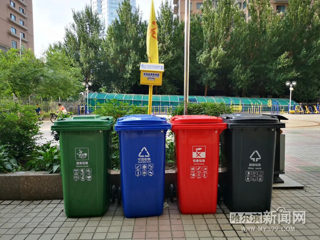 垃圾分类小常识丨蛤蜊壳,坚果壳属于什么垃圾?