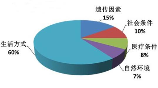 "一块饼"让你秒懂影响健康的因素