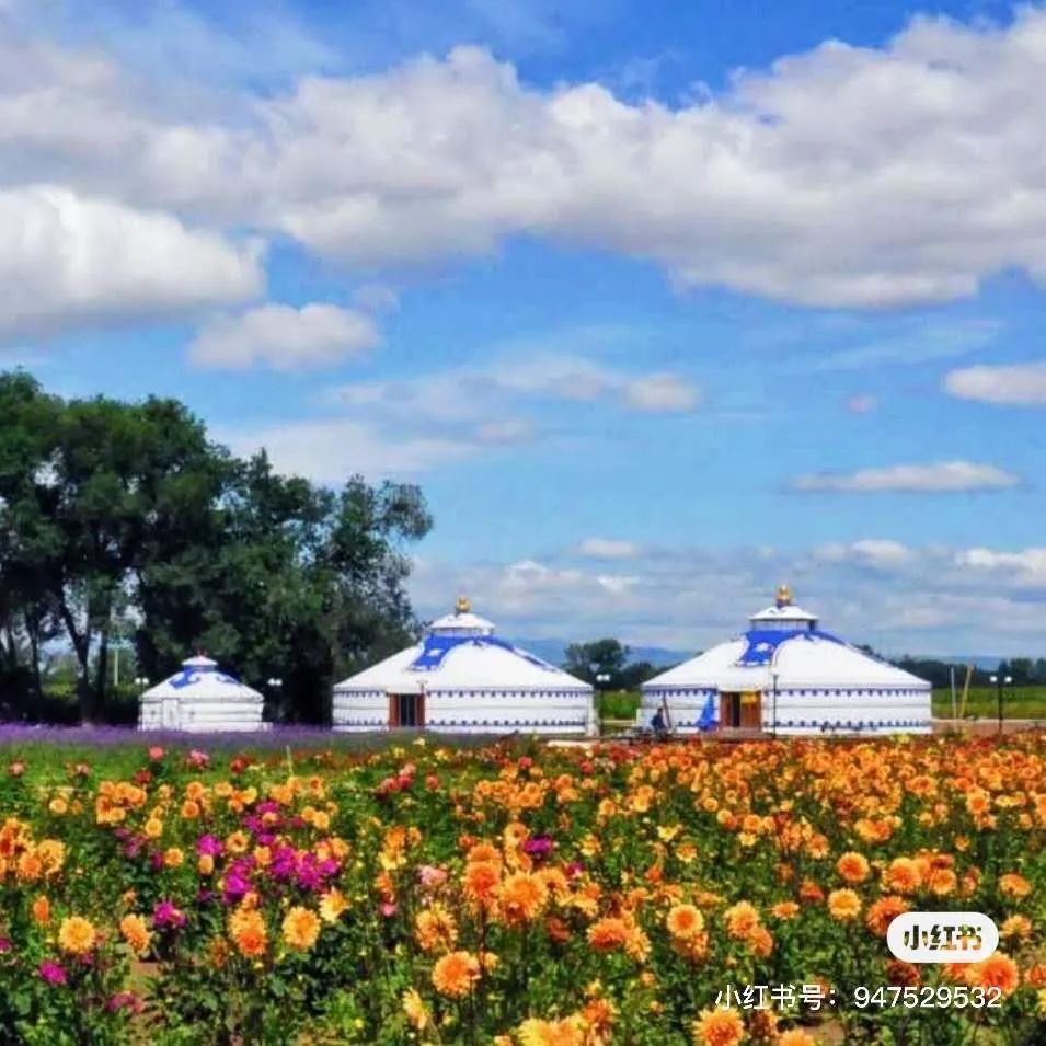 家门口的网红花海等你打卡  昭君花海 位于 呼和浩特市玉泉区佰什户