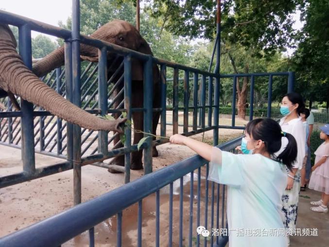 王城公园动物园新设动物投喂试点 增强游客互动体验