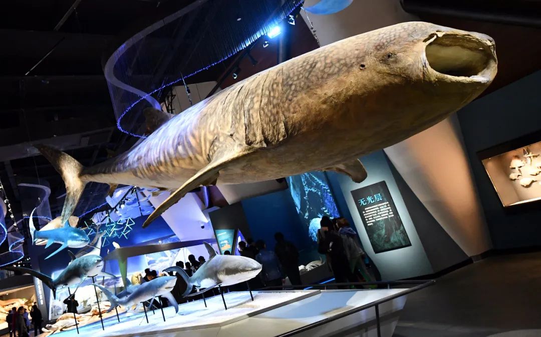 天津又多一处AAAA级景区！（最新发布）