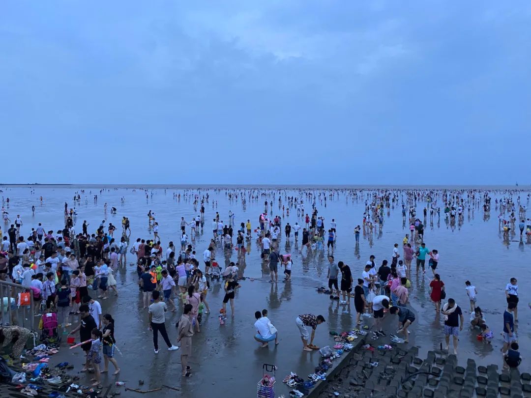 在奉贤有一种夏天叫渔人码头海边挖沙戏水乐趣多