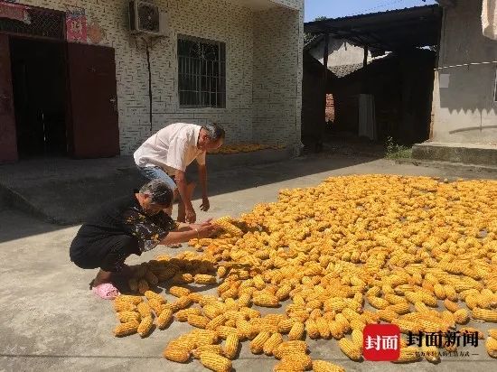 这次黄蒙蒙到青海格尔木旅游失联,两位老人根本不知道孙女的事.