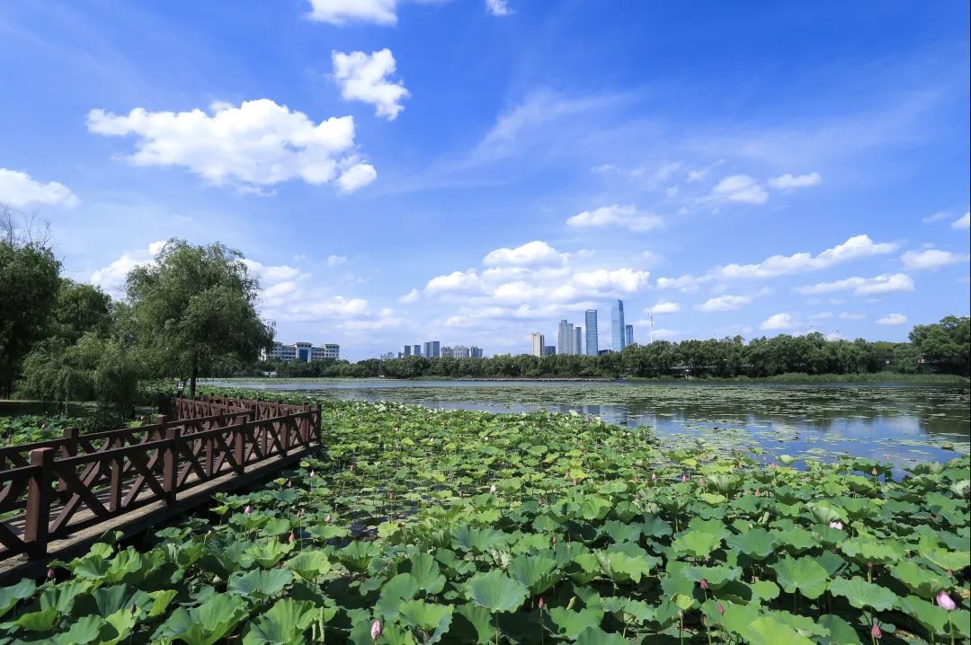 等你在湖大丨下一站,桃子湖