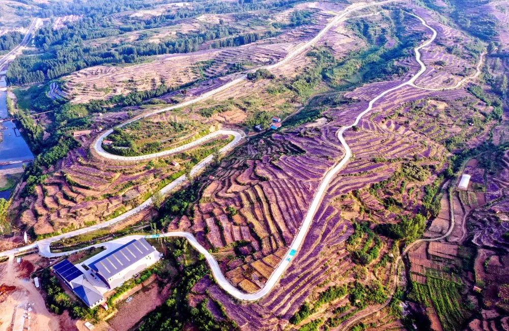 山东这个小镇绝对是现实版避世桃源