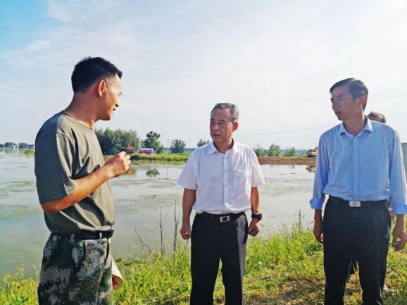 张岳峰查看强基固堤情况,得知和县根据专家会诊意见,正在对险工险段