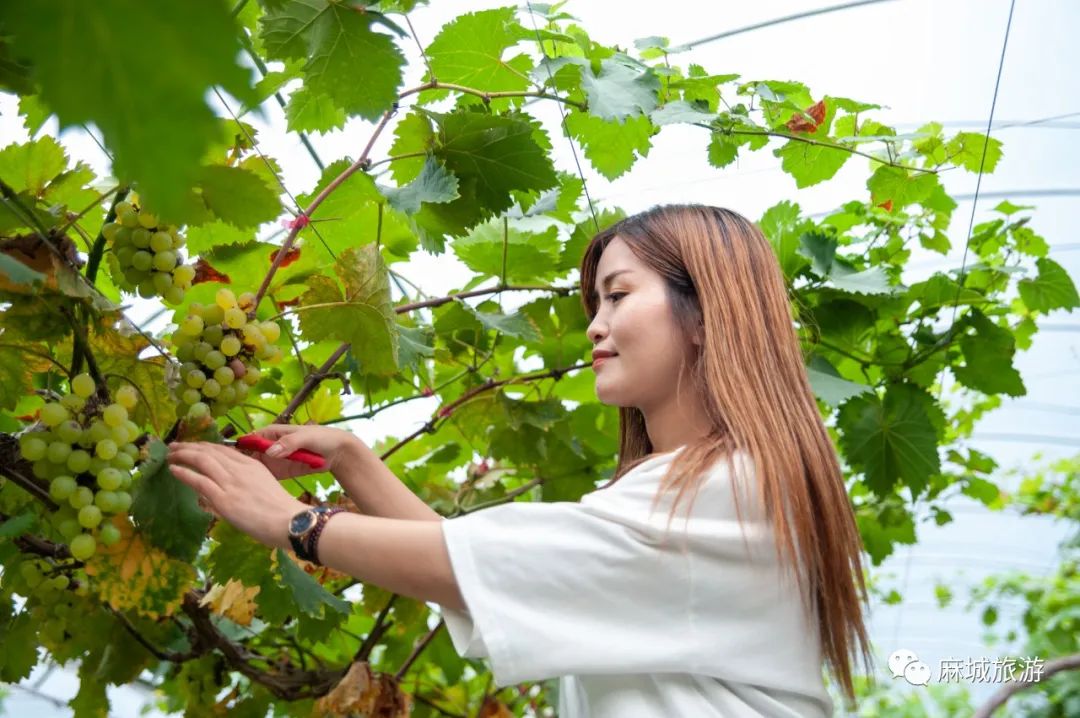 西安到成都丹巴机票_丹巴美人谷_丹巴藏寨