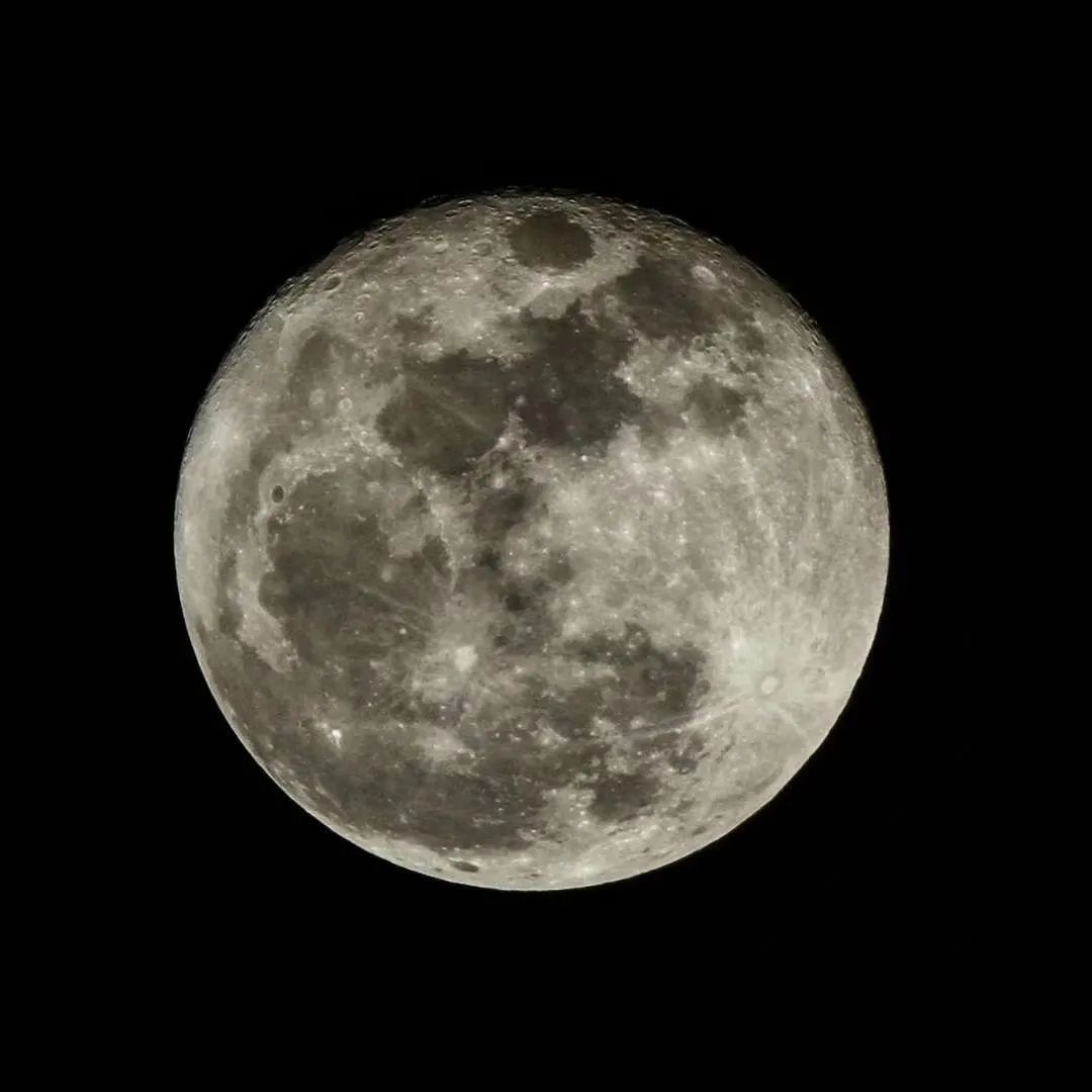 昨晚的月亮太美了