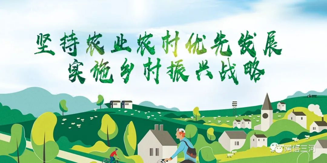 妇女参与实施"乡村振兴战略"和农村人居环境卫生整治行动的有效载体