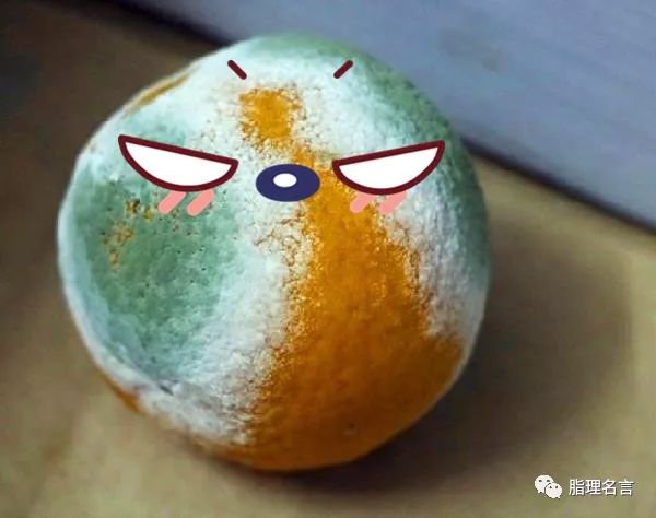 中国生物物理学会显微镜下的桔青霉 endo发现这种真菌的提取物能够