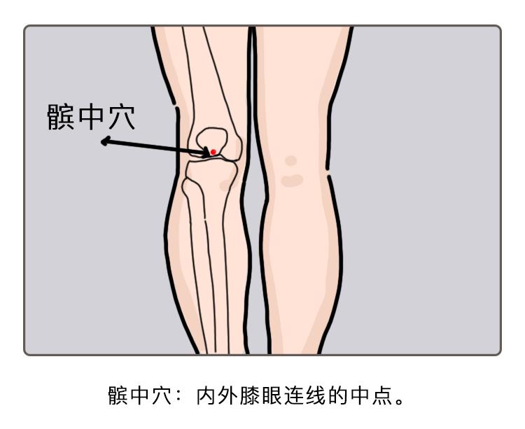 【医技传承】关于"膝关节骨关节炎"的针灸疗法