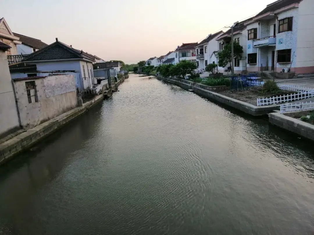 区水务局图片:赵巷镇,徐泾镇,重固镇,朱家角镇,金泽镇原标题:《喜讯!
