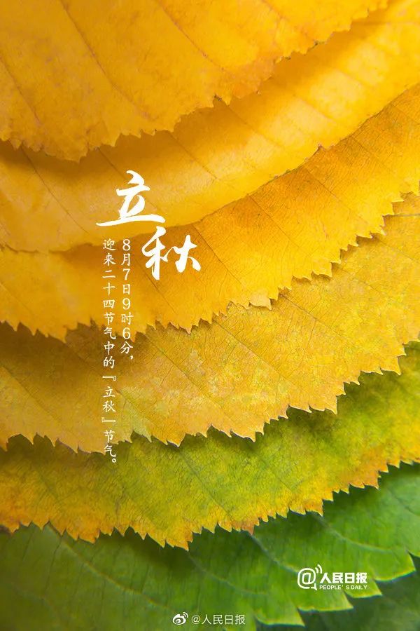 节气| 今日立秋 需提防"秋老虎"