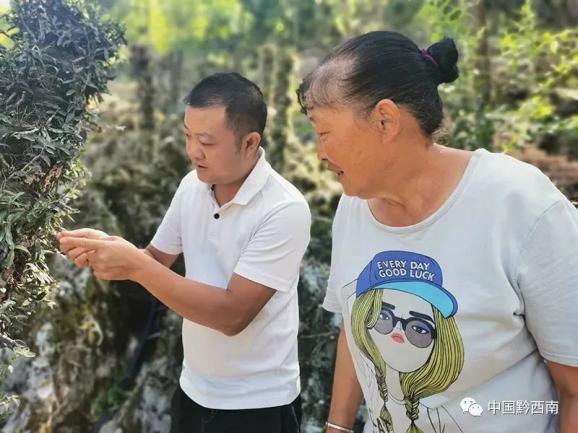 基地负责人张帮俊正在给村民讲解石斛管护技术,村民们边学边讨论要点.