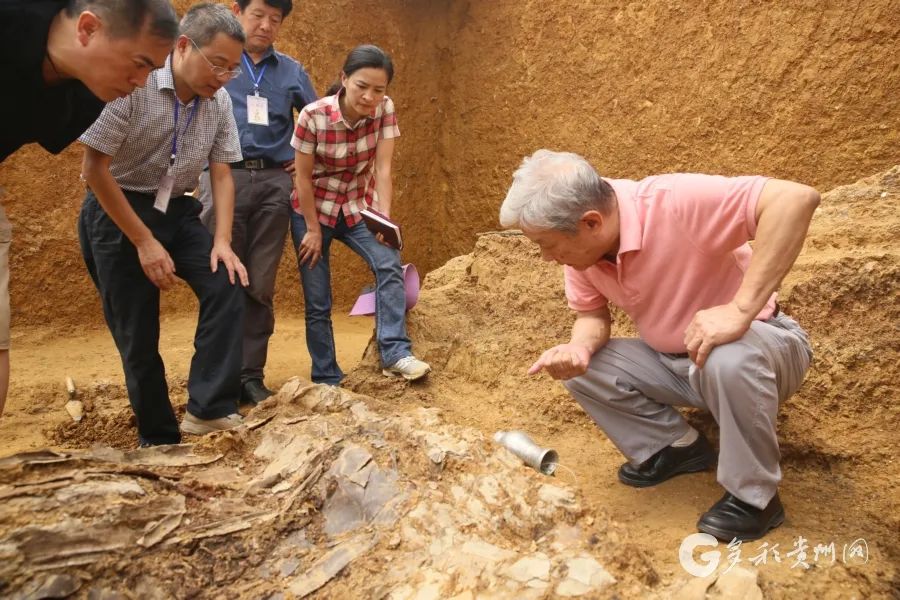 1987年,周必素以第一志愿考取四川大学考古专业.