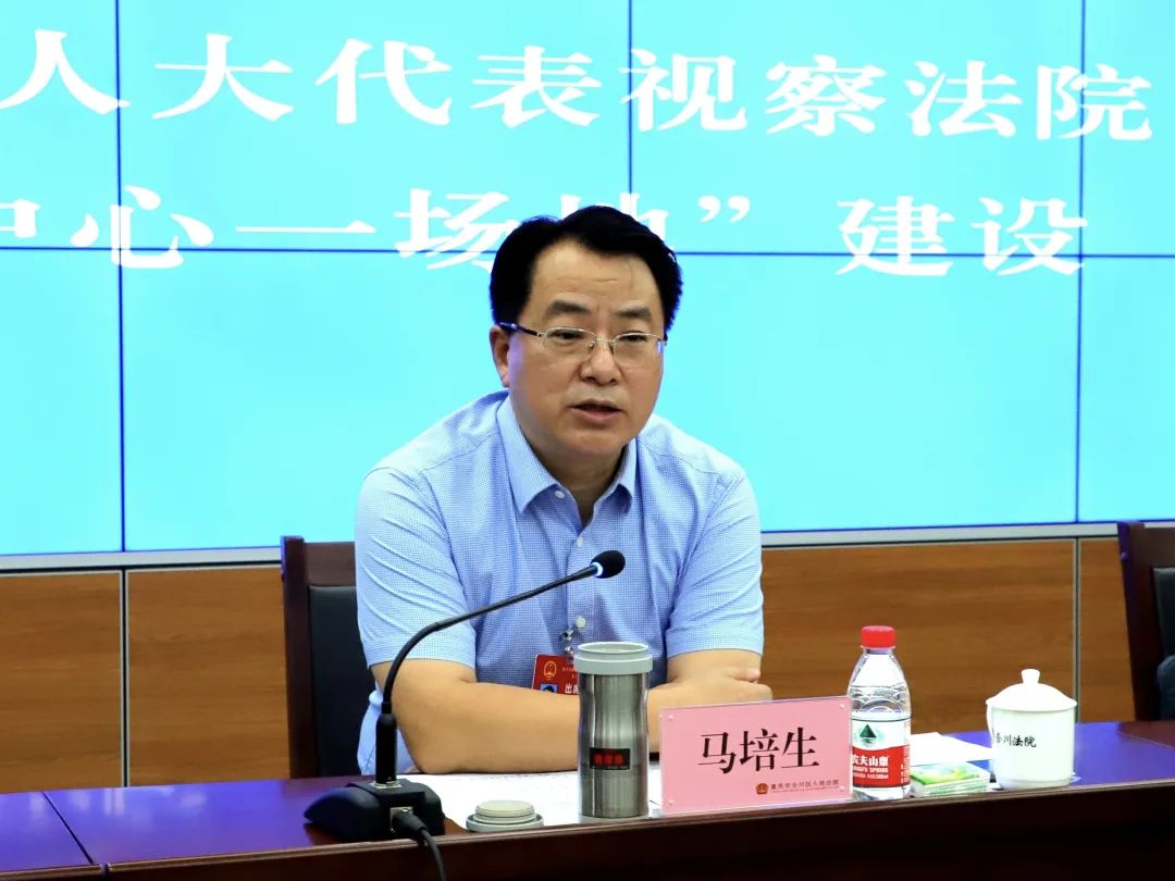 看法丨合川区人大常委会主任马培生: 服务保障成渝地区双城经济圈建设