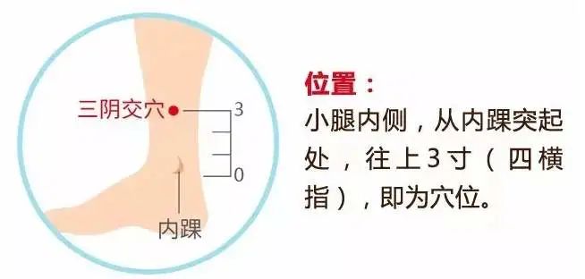 中医健康课堂养老穴老年人的专属康健穴献给父母亲人