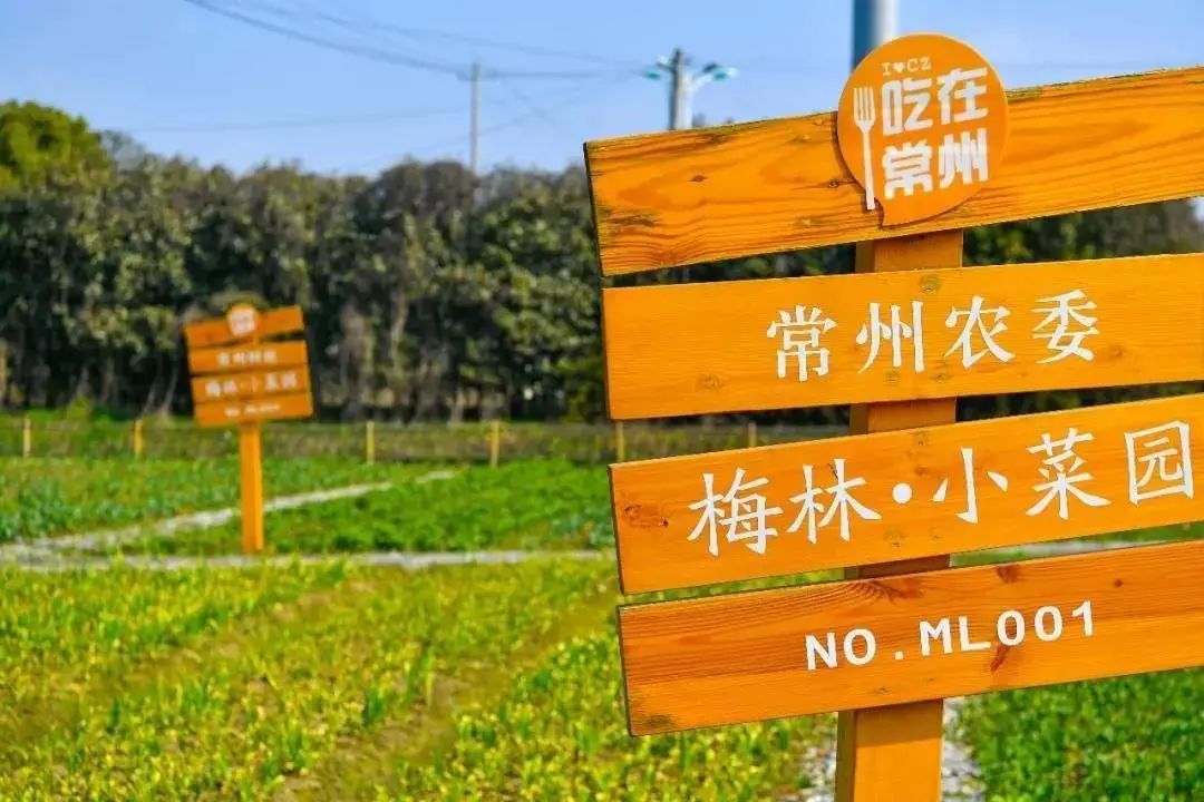 江苏省特色田园乡村第三批次名单公布,常州这些村上榜!