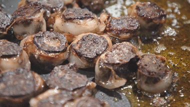 甘肃vlog｜摄制组“喝酒吃肉”，黑蜀黍羡慕围观？（最新发布）