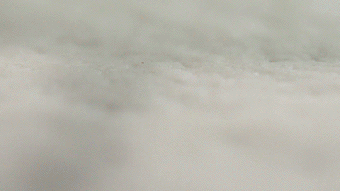 甘肃vlog｜摄制组“喝酒吃肉”，黑蜀黍羡慕围观？（最新发布）