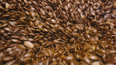 甘肃vlog｜摄制组“喝酒吃肉”，黑蜀黍羡慕围观？（最新发布）