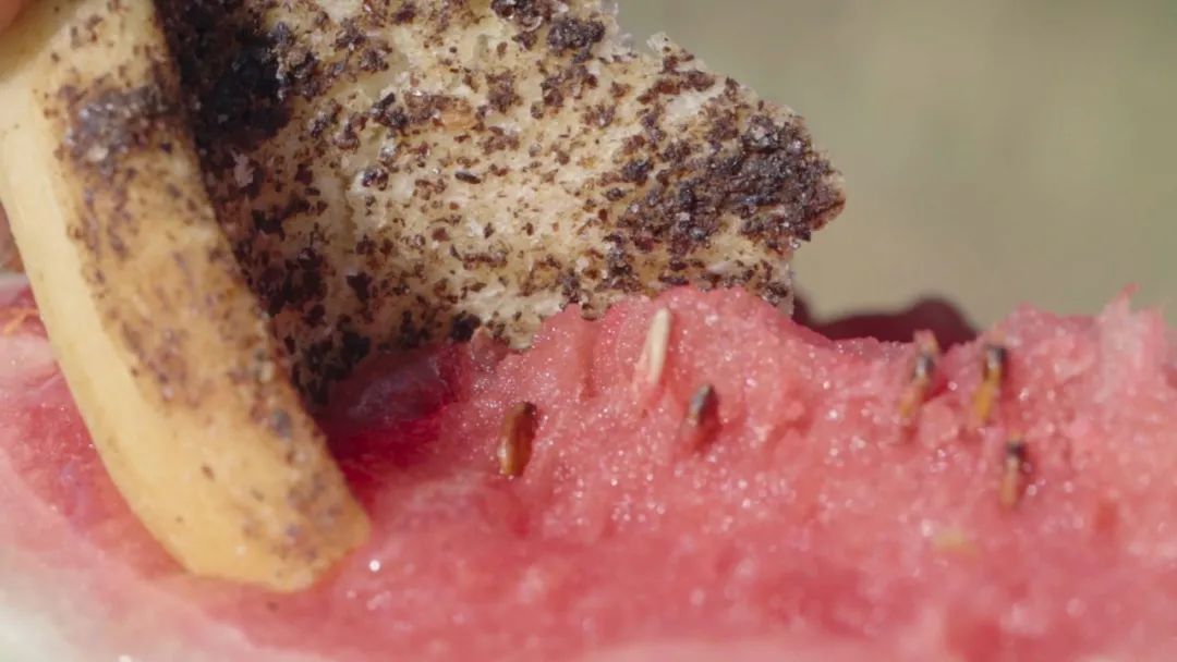 甘肃vlog｜摄制组“喝酒吃肉”，黑蜀黍羡慕围观？（最新发布）