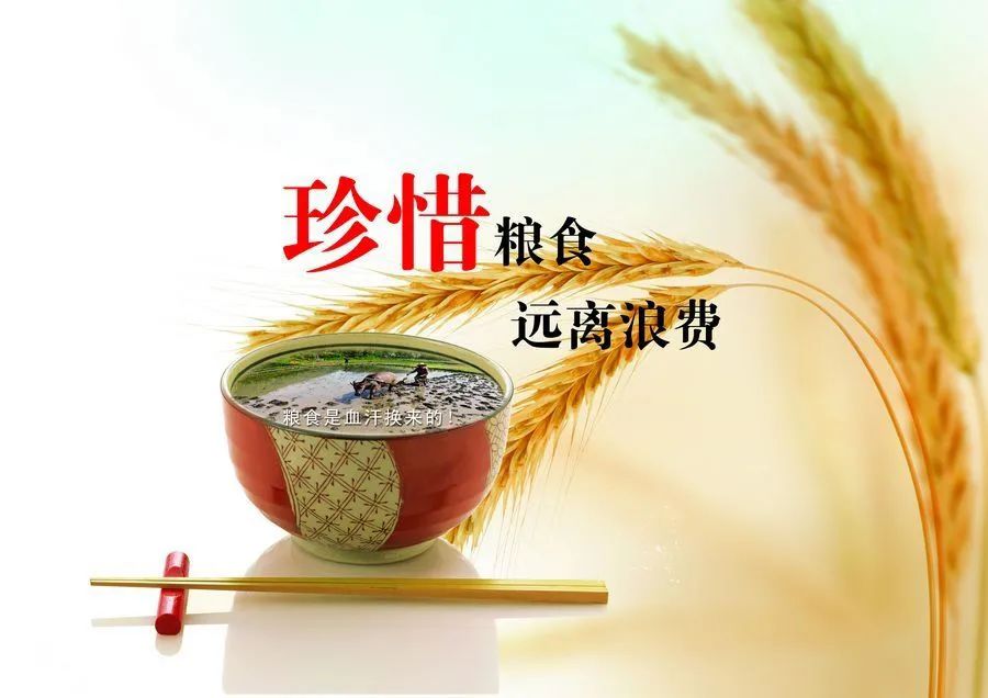 【文明从我做起】"珍惜粮食 杜绝浪费"倡议书