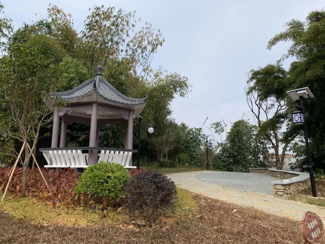 翁源:推进美丽乡村建设 小奖补带来大变化