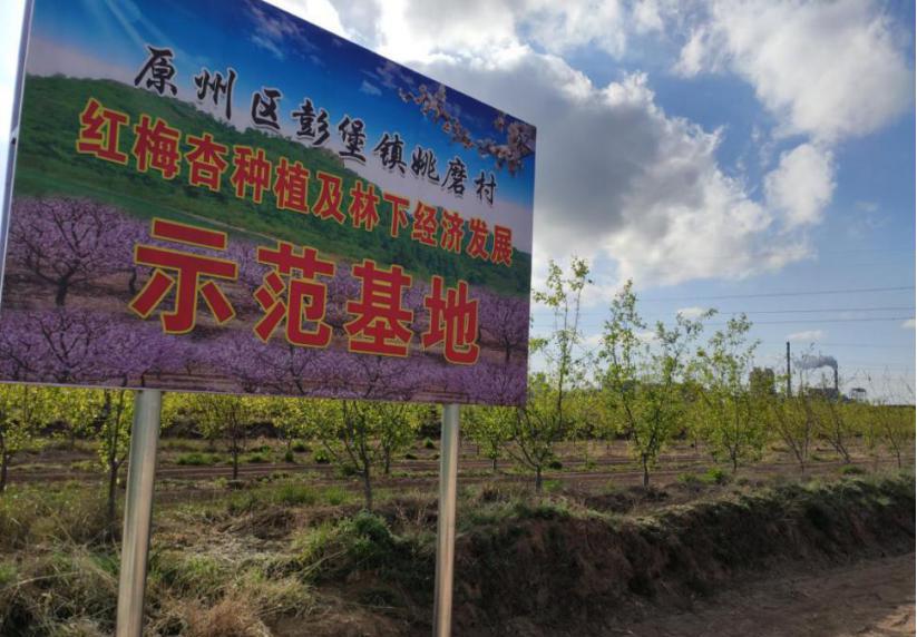 原州区姚磨村五金举措发展壮大村集体经济