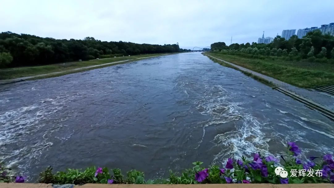 黑河局地暴雨江水现在涨啥样了爱辉区中小河流洪水气象风险黄色预警