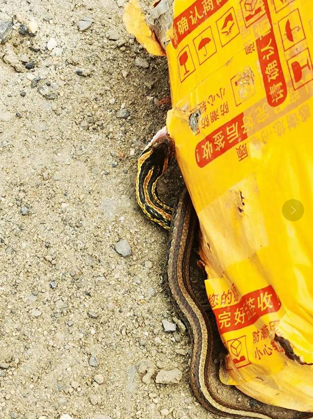 千里援赣手足情 走近广东支援江西抗洪抢险队（最新发布）