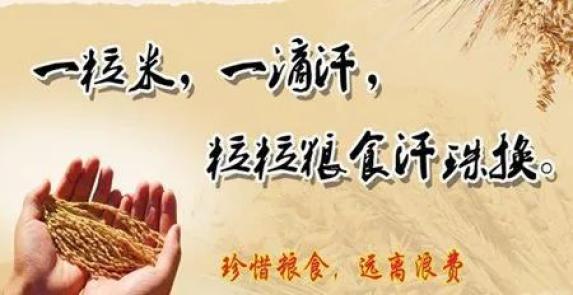 全国公共机构节约粮食公益宣传片《一粒米的世界》