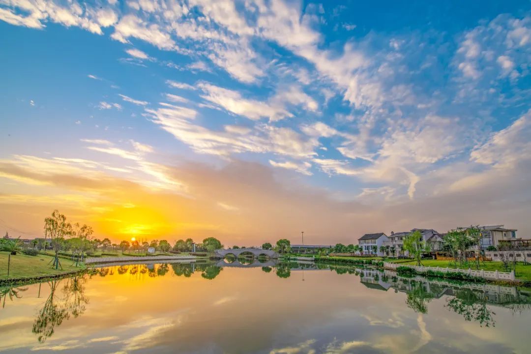 下 河水正悠悠流淌 河岸两边杨柳轻拂 城市因水而灵动,因绿色而宜居