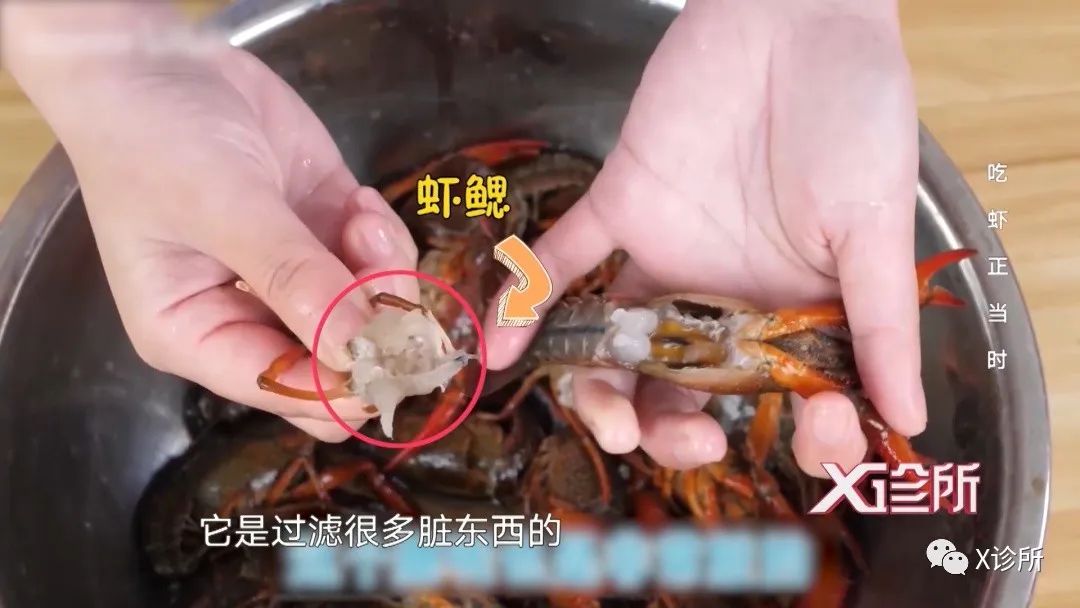 吃小龙虾会得横纹肌溶解症?哪些部位不能吃?