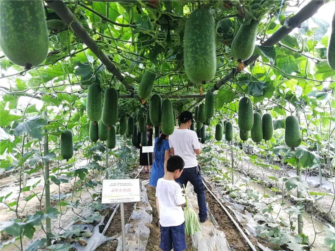 与科学奥秘零距离接触南沙科技活动周开始了