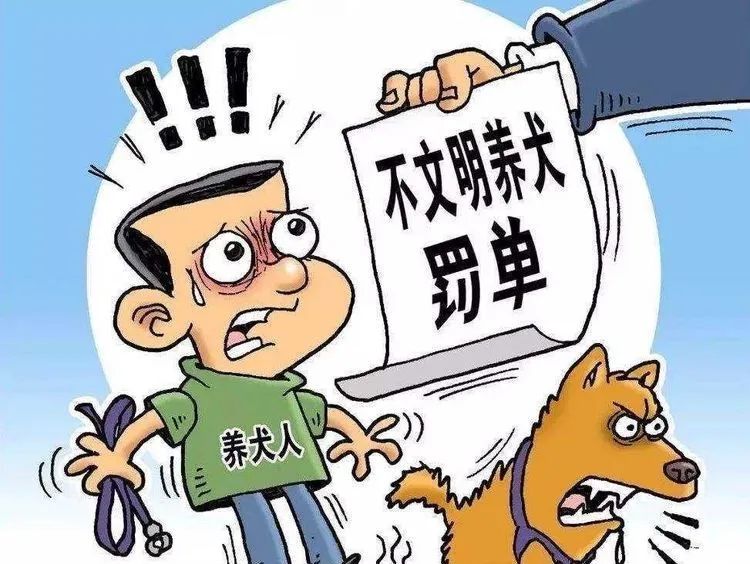 泗洪开出不文明养犬"首张罚单"——出门遛狗不牵绳,开