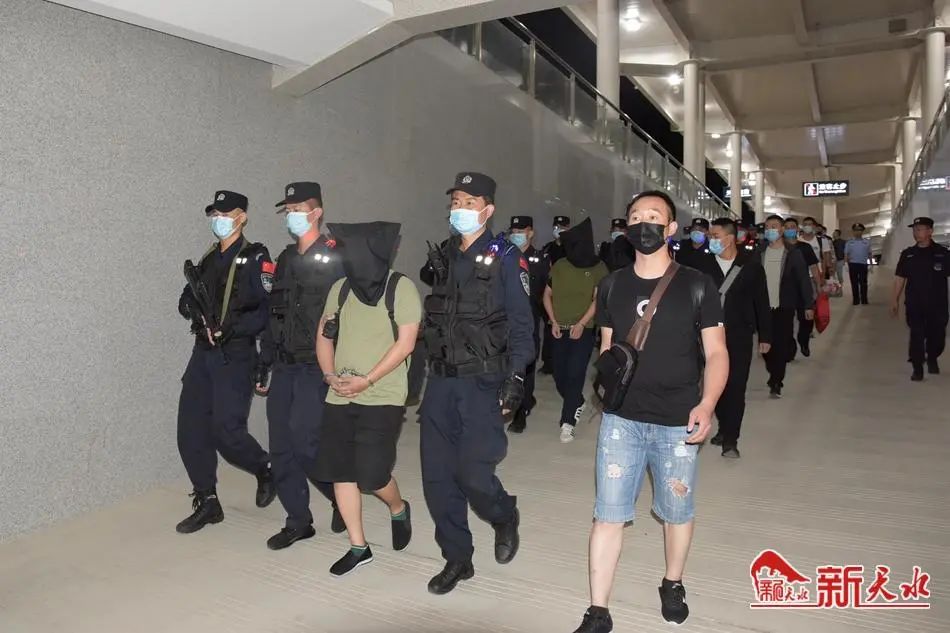 508跨省电信网络诈骗案破获6名犯罪嫌疑人押解回天水